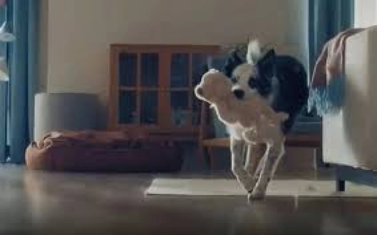 Bosch'un Anneler G&uuml;n&uuml; reklamı yayından kaldırıldı: RT&Uuml;K inceleme başlattı