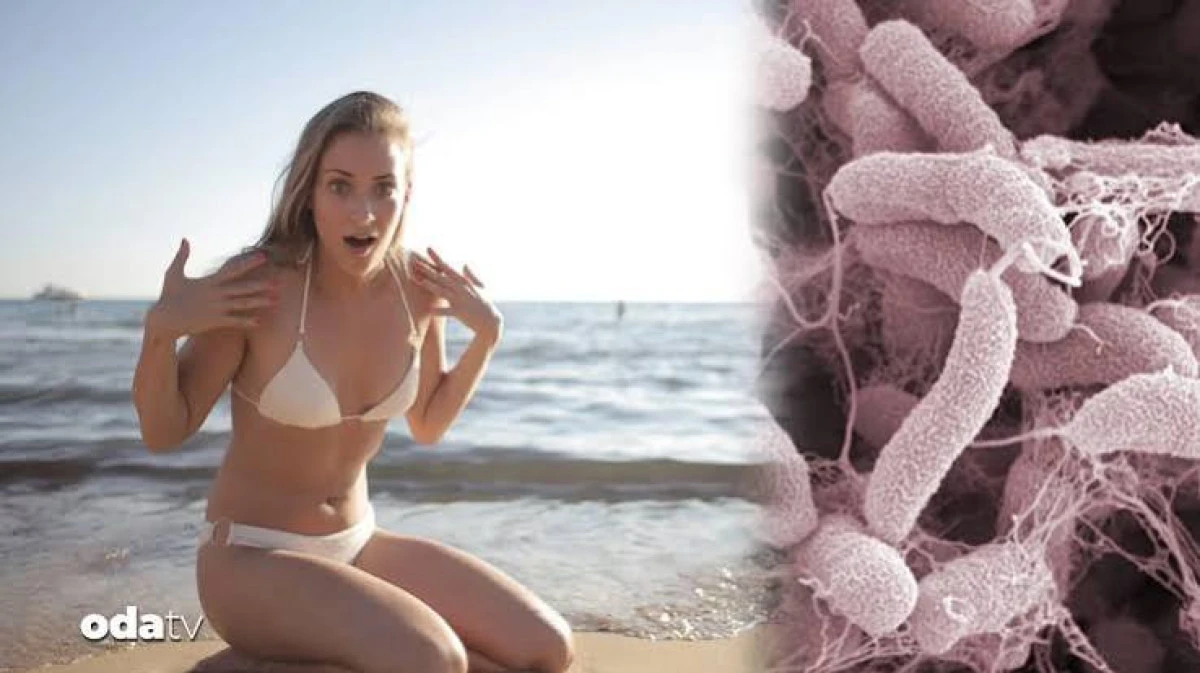 Et yiyen bakteri Vibrio 