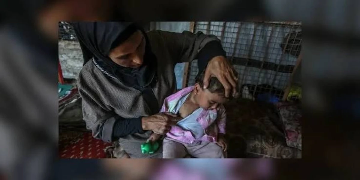 Gazze'de yerinden edilenlerin yaşadığı yerlerin y&uuml;zde 83'&uuml; kemirgen ve parazit istilası altında