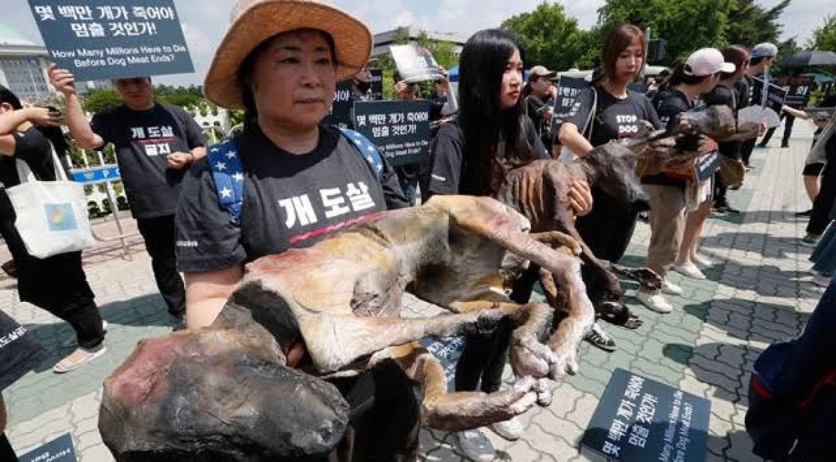 G&uuml;ney Kore'de k&ouml;pek eti t&uuml;ketmek yasaklanıyor