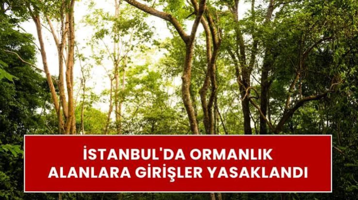 İstanbul'da ormanlara giriş yasaklandı
