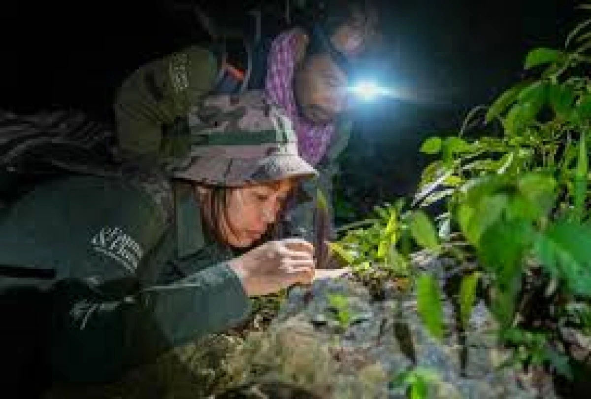 Kambo&ccedil;ya&rsquo;daki mağarada bilinmeyen d&uuml;nya 