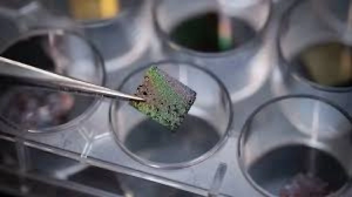 Laboratuvarda kozmik toz &uuml;retildi! D&uuml;nya'daki yaşamın başlangıcına ışık tutabilir