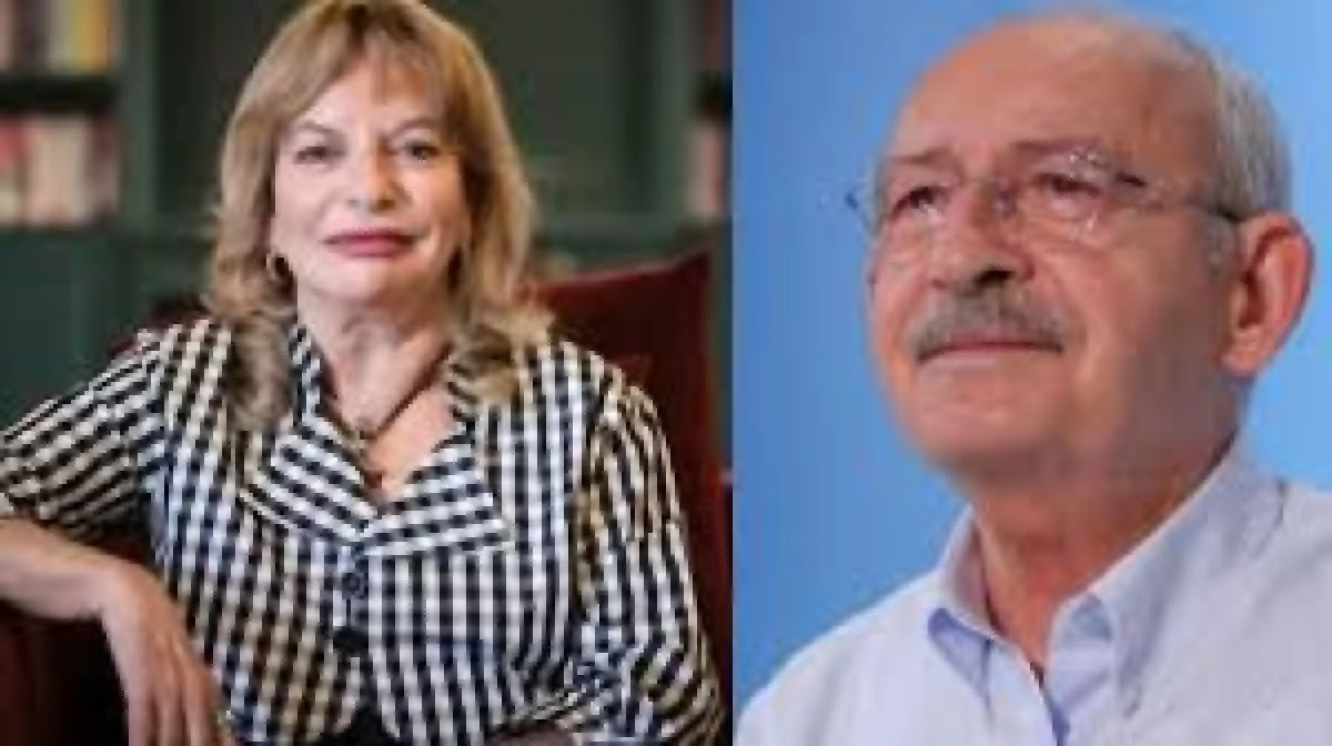 Kılı&ccedil;daroğlu'na hakaret eden Mine Kırıkkanat'a soruşturma