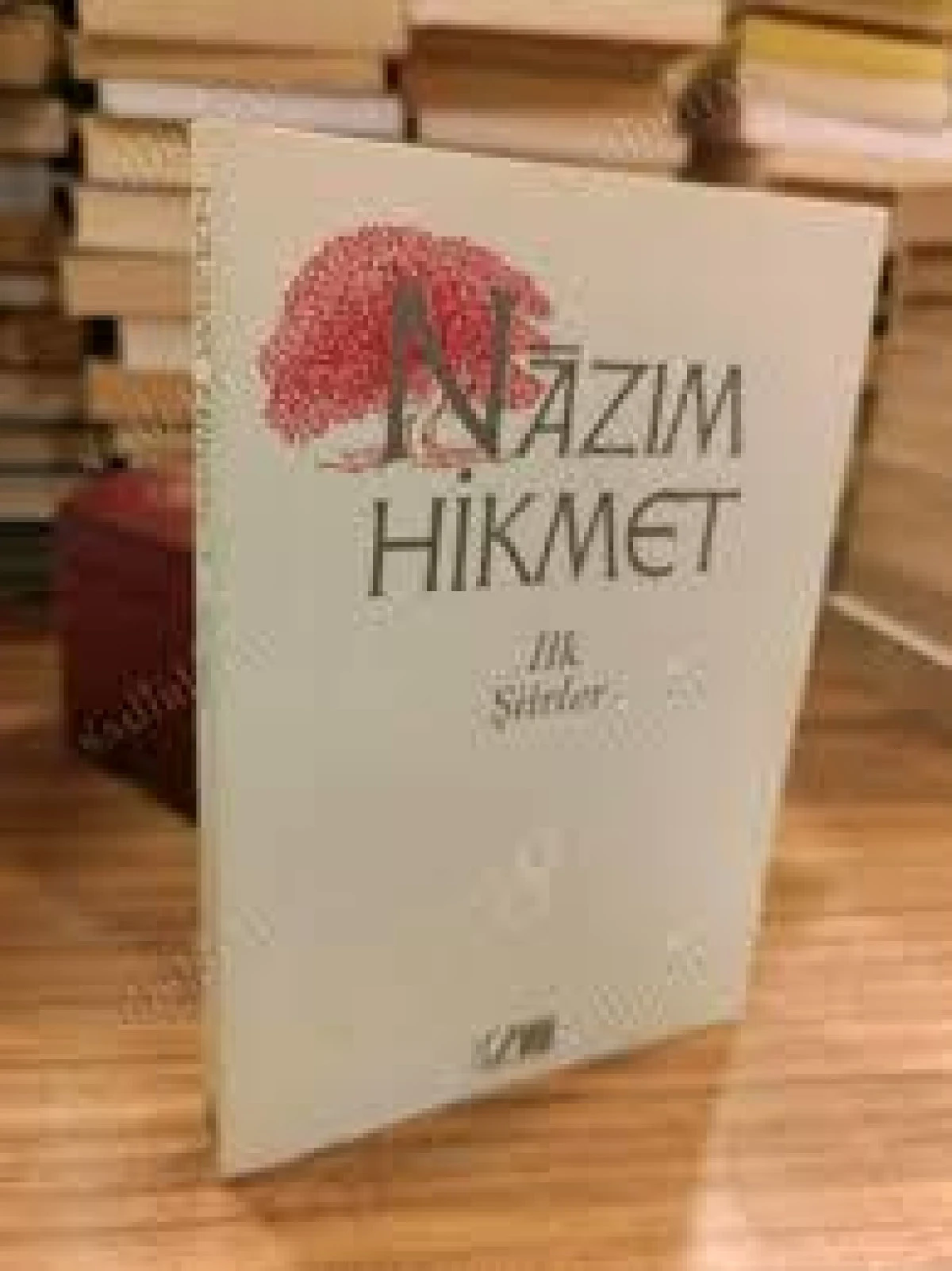 Nazım Hikmet&rsquo;in doğumunun 124. Yılı ve ilk şiiri Feryad-ı Vatan	