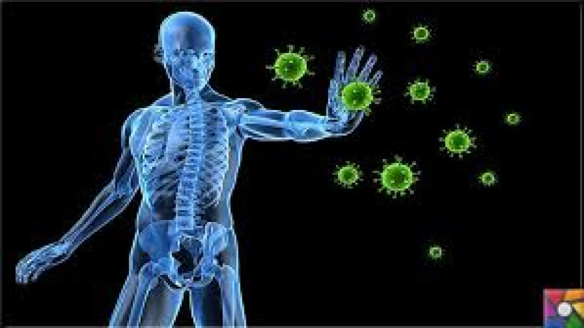 Otoimm&uuml;n hastalıklar i&ccedil;in kullanılan ila&ccedil;lar pek işe yaramıyor. Şimdi bilim insanları yeni bir şey deniyor