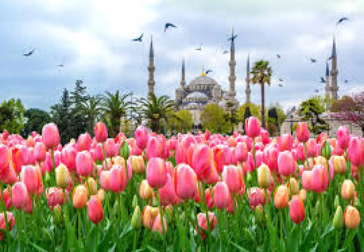 'The Tulip Era' Serial Bridges İstanbul 2025’in kazananı 